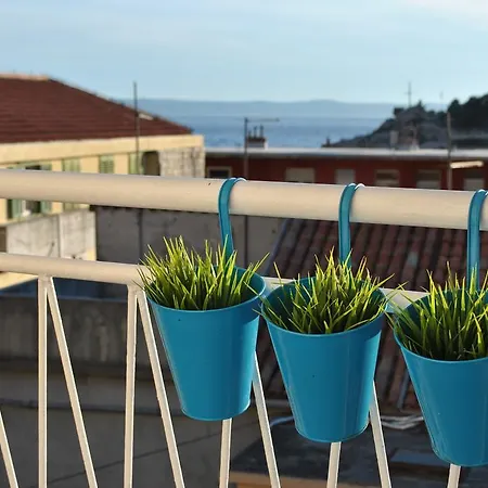 Optimist * מאקרסקה