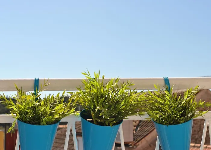 Optimist Διαμέρισμα *